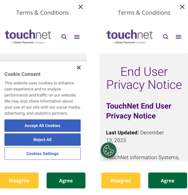 Accept cookie & Terms & Conditions pages