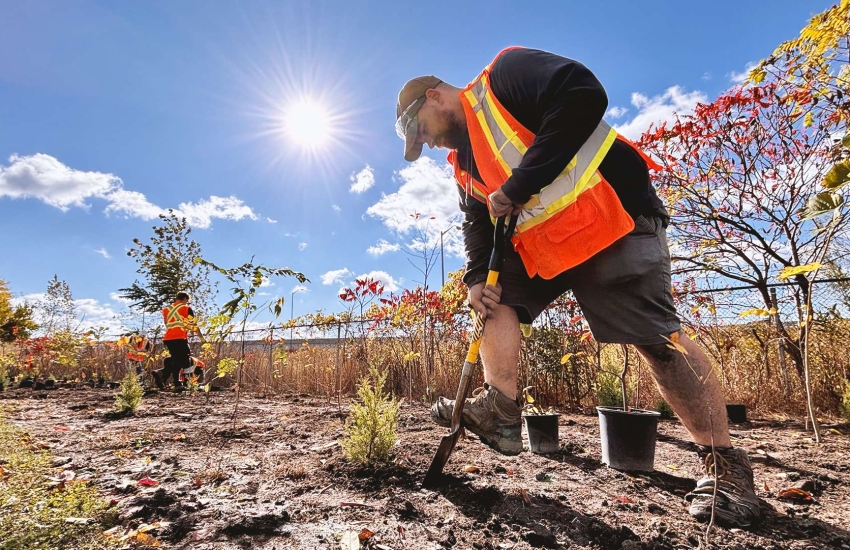 Adam Olsen plants a tree at Malden Park during a practical day with his classmates
