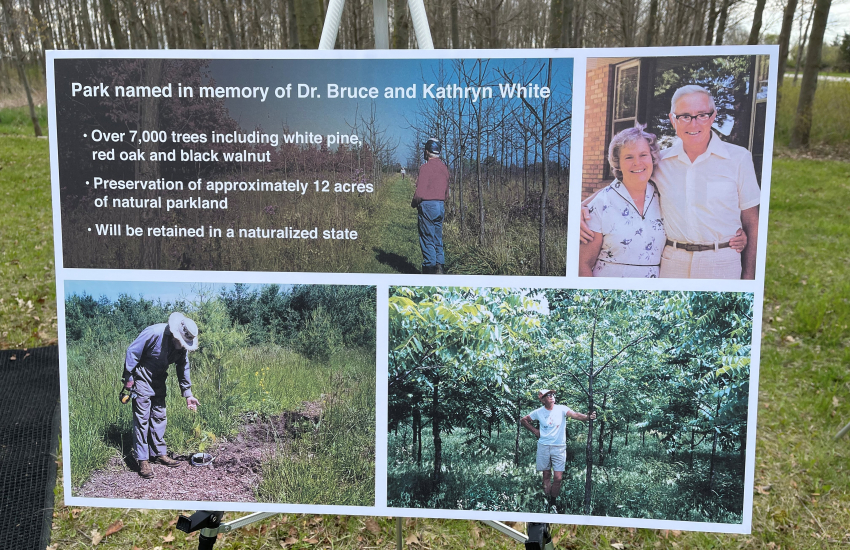 Memorial collage photo