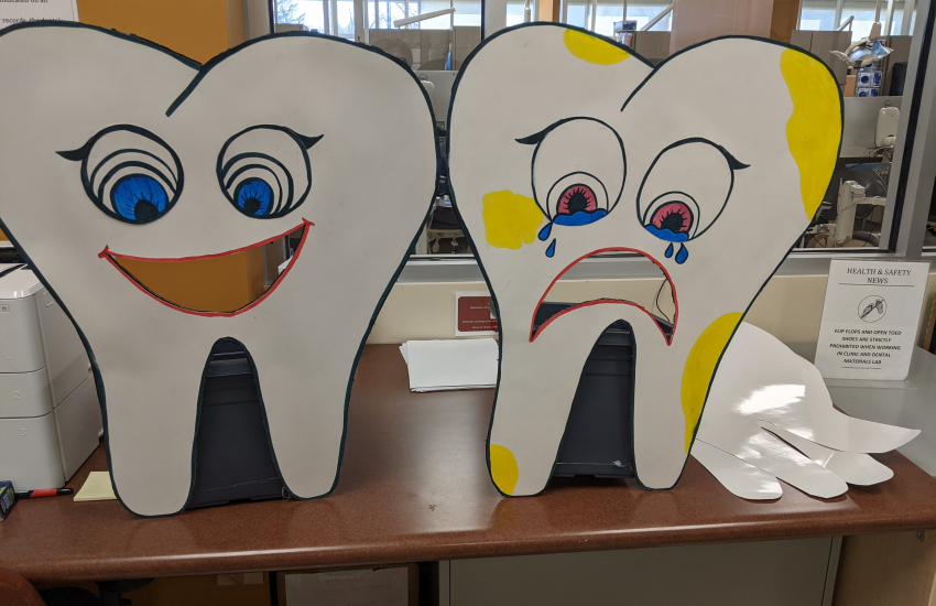 Cardboard tooth display cut outs