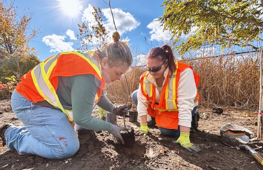 A student and city worker plant a tree during a Trees for Life planting day at Malden Park