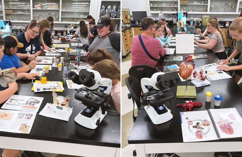 Members of the Essex County 4-H Veterinary Club review materials during an educational session about parasites.