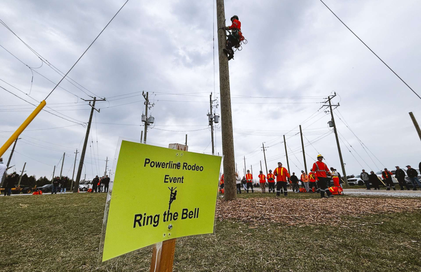 Students in the Powerline Technician program at St. Clair College cheering on classmates during the Powerline Rodeo