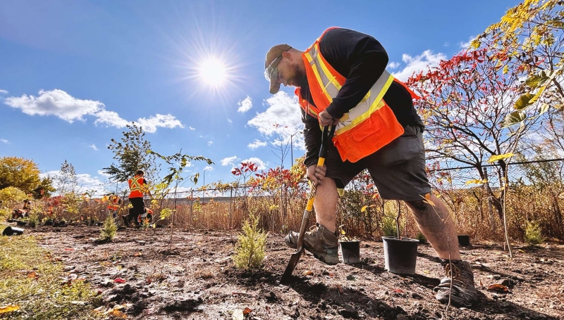 Adam Olsen plants a tree at Malden Park during a practical day with his classmates