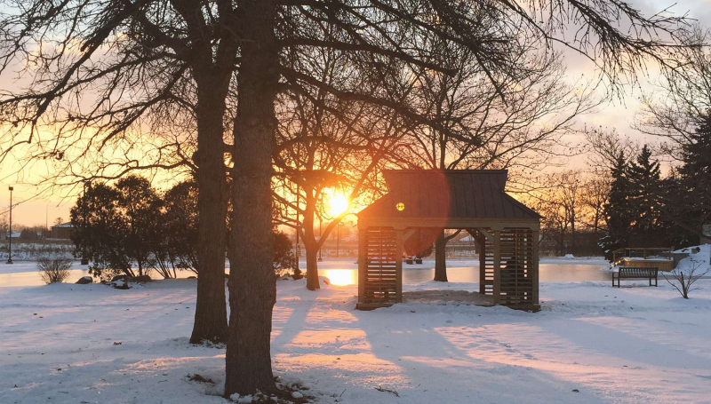 Winter sunset at St. Clair College pond.